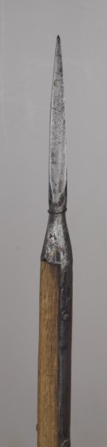 Pike