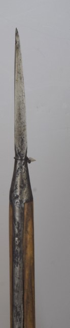 Pike